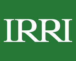 IRRI Logo